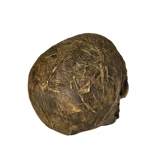 Wrapped Skull Decoration 8 Wrapped Skull Decoration