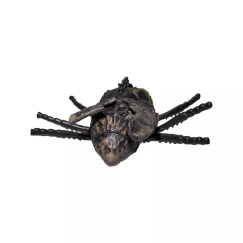 Zombie Fly Static Prop