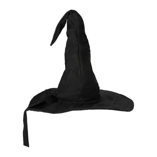 Black Wizard Hat