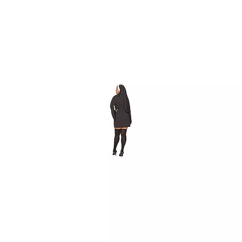 Adult Sinful Sister Costume