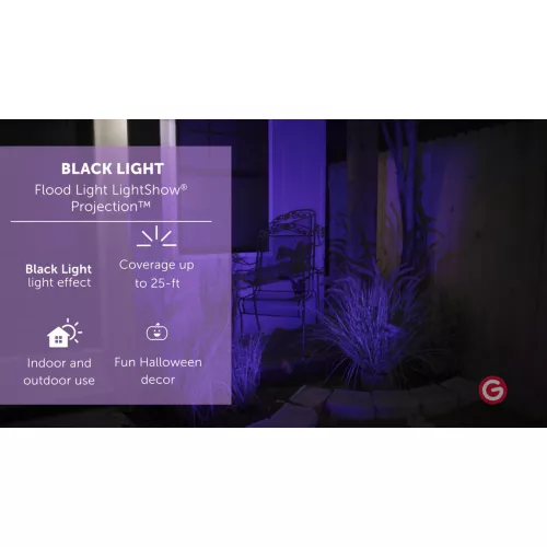 Blacklight LED Flood Light