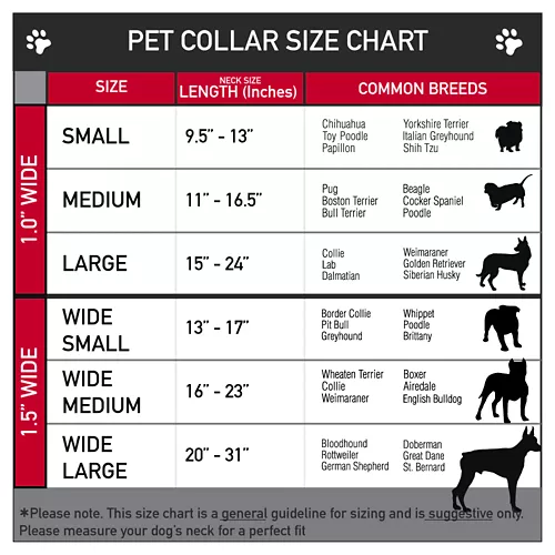 Buckle-Down Friday the 13th Dog Collar