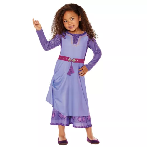 Toddler Asha Dress Costume - Wish